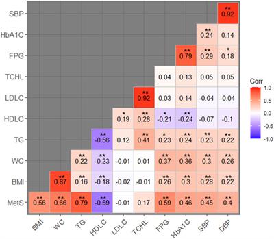 Identification of shared genetic risks underlying metabolic syndrome and its related traits in the Korean population